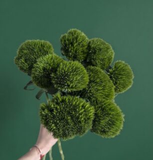 Гвоздика Green 1шт №1034